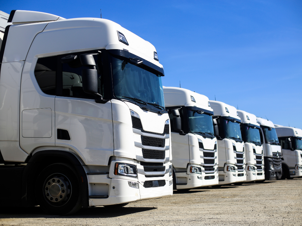 Flota de Logística Cachia